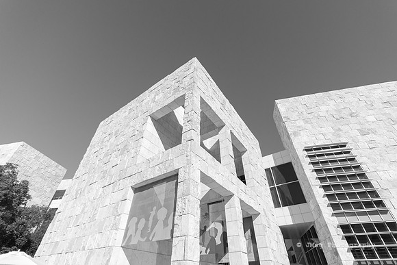 _JMG6275