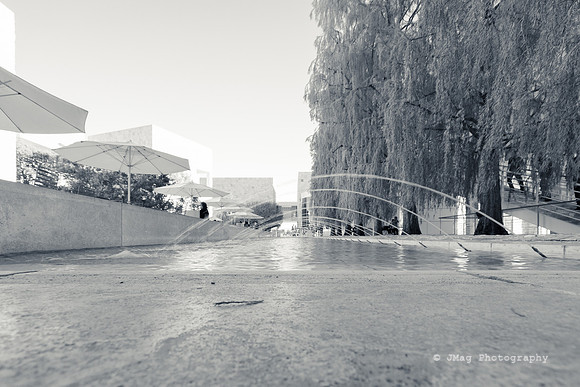 _JMG6317