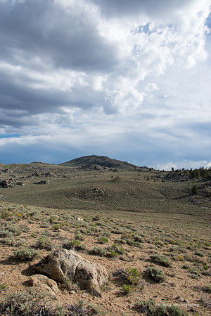 White Mountains-Bristlecones74