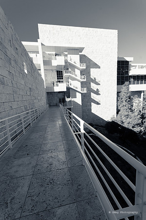 _JMG6254