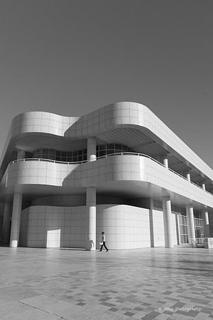 _JMG6296