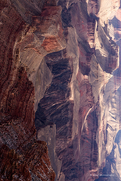 _JMG4265