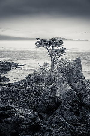 Pacific Coast