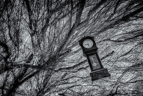 _JMG7308-Edit-Edit