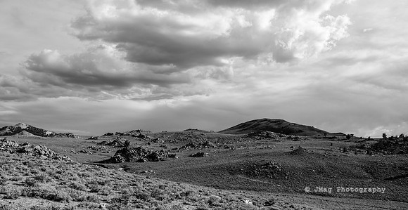 White Mountains-Bristlecones70