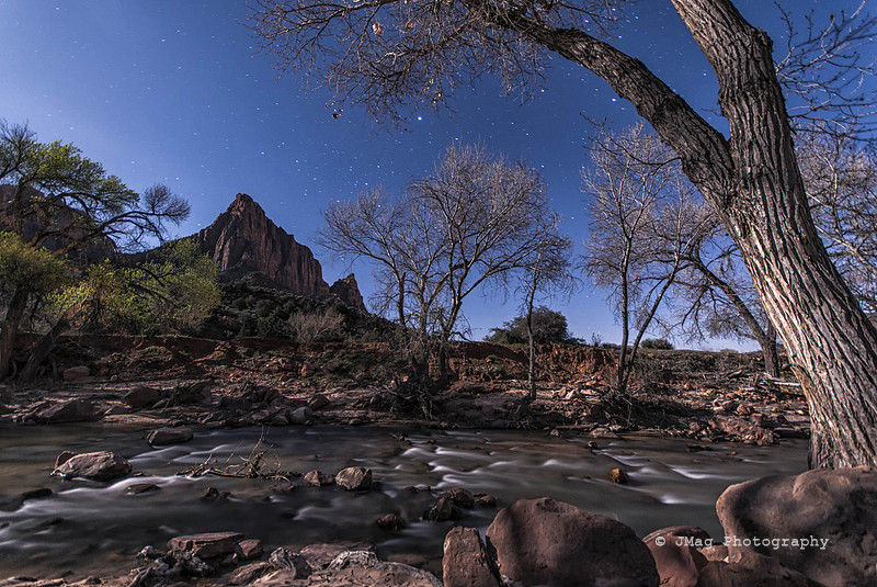 The Watchman lit by Moonlight