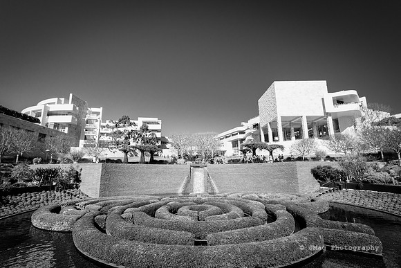 _JMG6187