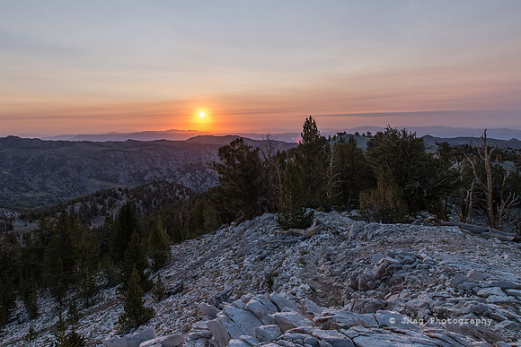 White Mountains-Bristlecones410