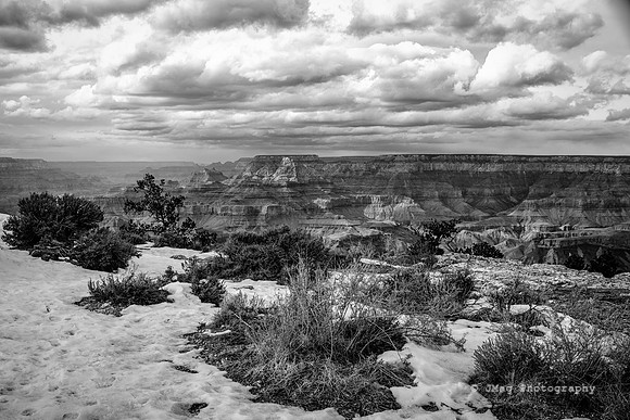 _JMG4590-Edit