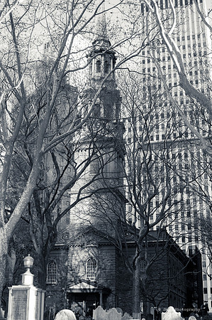 _JMG8772