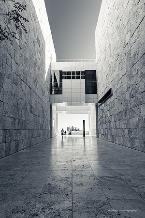 _JMG6270