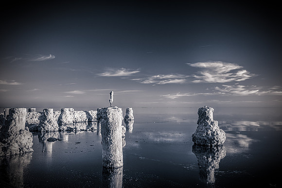 Salton Sea