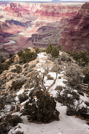 Grand Canyon--2
