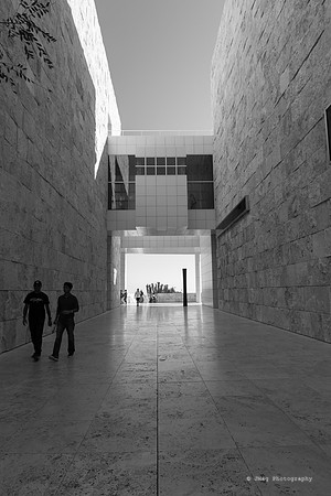 _JMG6268
